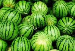 网红吃瓜颜色分类图片,缤纷色彩背后的秘密解析