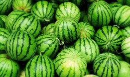 网红吃瓜颜色分类图片,缤纷色彩背后的秘密解析