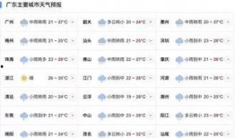 广东省今日关注爆料,今日关注爆料揭示最新动态