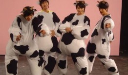 综艺互相爆料搞笑视频,笑料横飞，明星互坑欢乐多