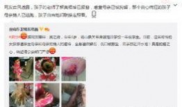 砀山事件爆料视频播放,真相与争议交织