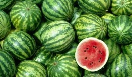 每日更新各种吃瓜网红,新鲜热辣，网红圈动态速览