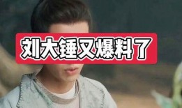 刘大锤爆料娱乐圈永远,刘大锤独家爆料，内幕大公开！