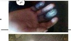 蚯蚓BD在线观看,BD在线观看带你走进蚯蚓世界