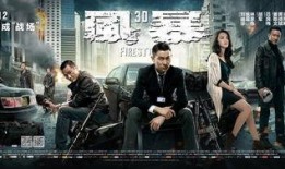 电影《风暴》在线观看,揭秘警匪激战背后的生死较量