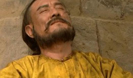 小熊不吃香菜被爆料视频,萌宠界的美食选择