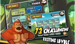 疯狂的熊猫爆料视频,视频爆料背后的惊人真相