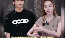 汪兰爆料录音是真的吗视频,视频证据揭示真相