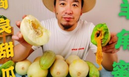 网红吃瓜大集合,揭秘娱乐圈幕后风云