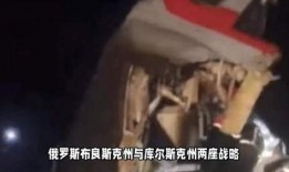 大鹅爆料间谍视频播放,间谍视频曝光，揭秘神秘势力内幕