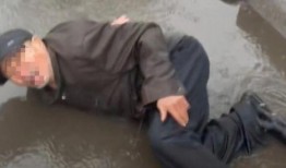 小熊不吃香菜被爆料视频,萌宠界的美食选择