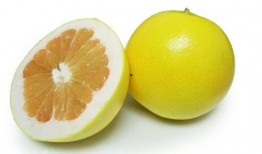 娱乐圈柚子君吃瓜,揭秘明星幕后吃瓜大揭秘