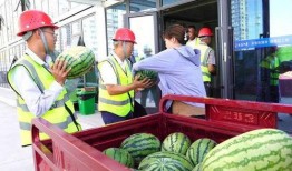 摆摊网红吃瓜视频大全集,趣味视频全集回顾