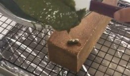 臭豆腐做法爆料视频,视频揭秘家常美味制作过程