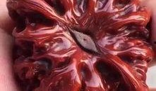 包浆爆料视频大全最新版,最新版带你领略收藏界魅力瞬间