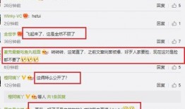 网友爆料李小璐视频大全,网友爆料引发热议