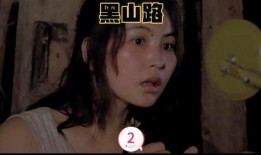 大陆理伦在线观看影片,探索思想与艺术的交汇