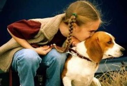 河南女网红抱抱和狗吃瓜,狗子吃瓜成萌宠新宠