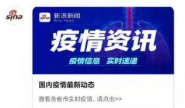 新浪网爆料相关新闻最新,揭秘最新热点事件背后真相