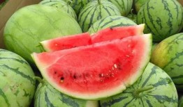 2022网红吃瓜汇总,娱乐圈风云再起